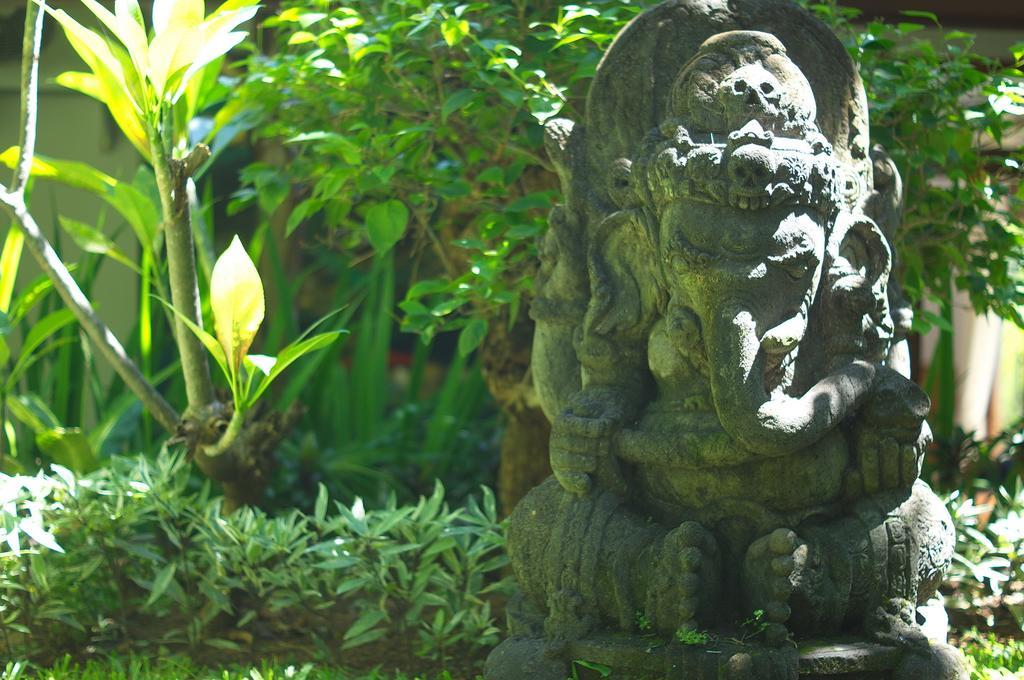 Indo Rumah Zengarden Buleleng  Bilik gambar