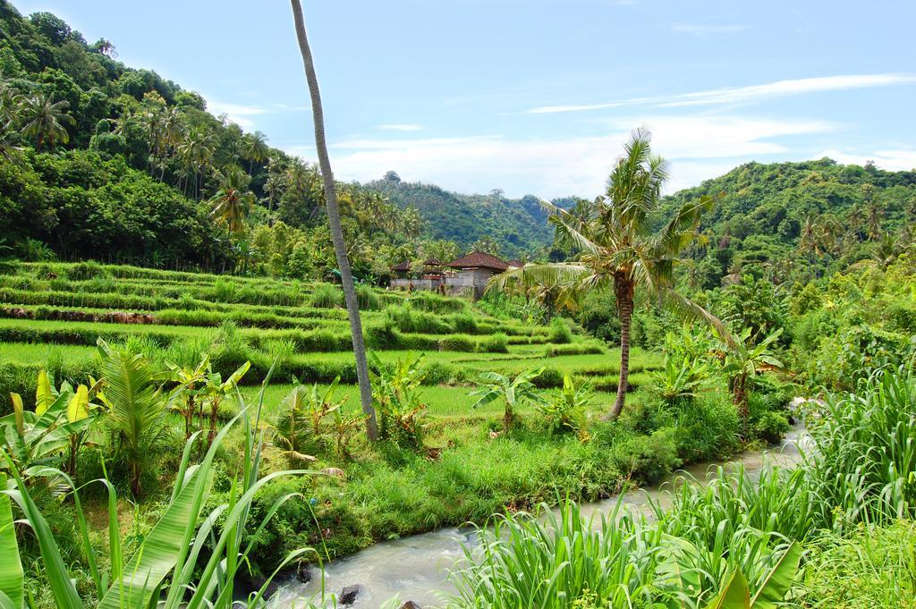 Indo Rumah Zengarden Buleleng  Luaran gambar