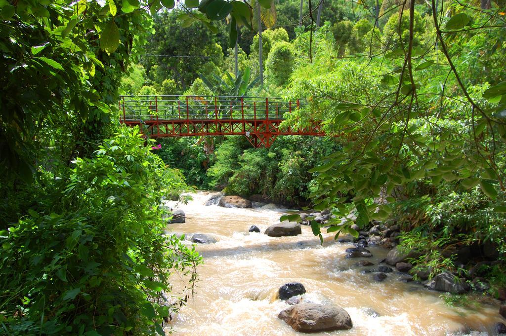 Indo Rumah Zengarden Buleleng  Luaran gambar